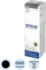Epson T6731 BK Ink Bottle 70ml (C13T673198)