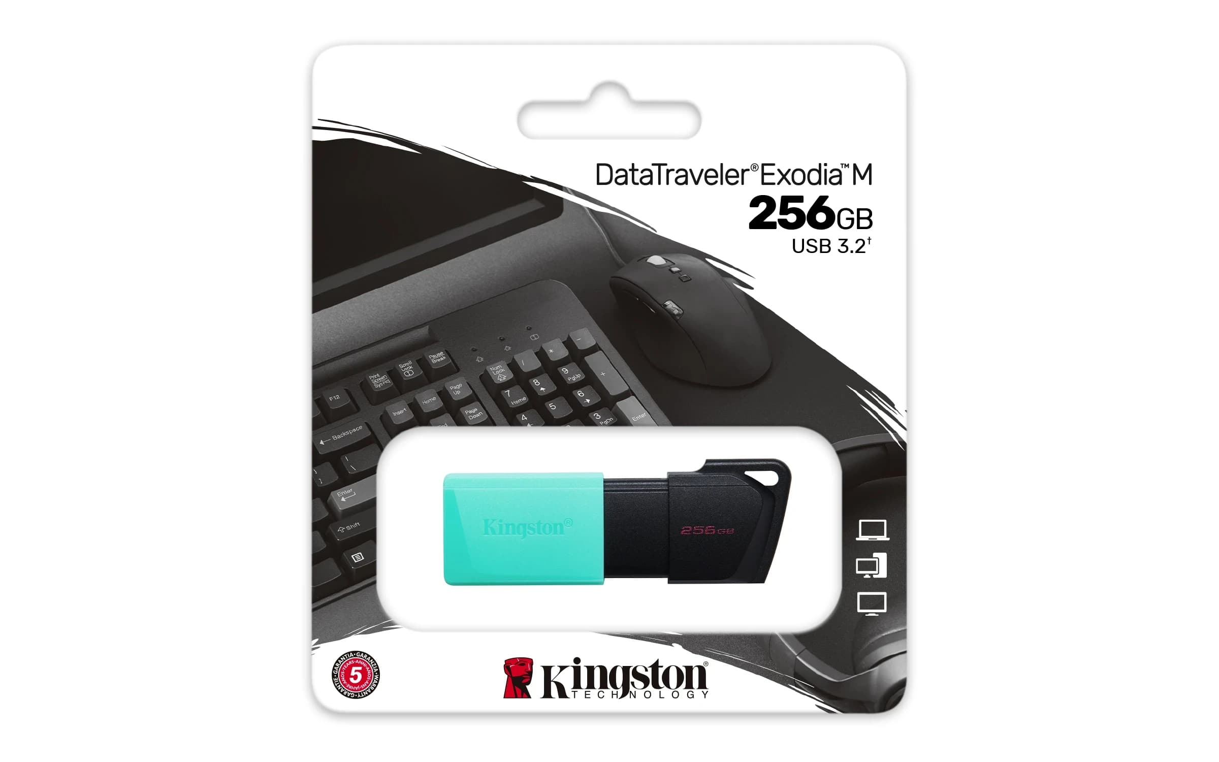 Накопитель на флеш памяти 256GB USB 3.2 Gen1 Kingston DataTraveler Exodia М Бирюзовый-Черный [DTXM/256GB]